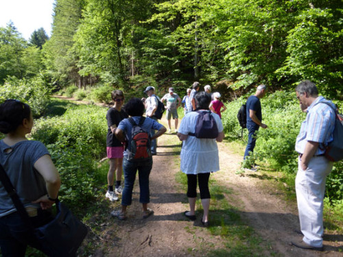 Frühjahrswanderung des RSB Rhein-Neckar am 4.6.2015, Foto: Avanti²