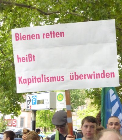 FFF-Demo in Mannheim, 19. Juli 2019 (Foto:Privat)